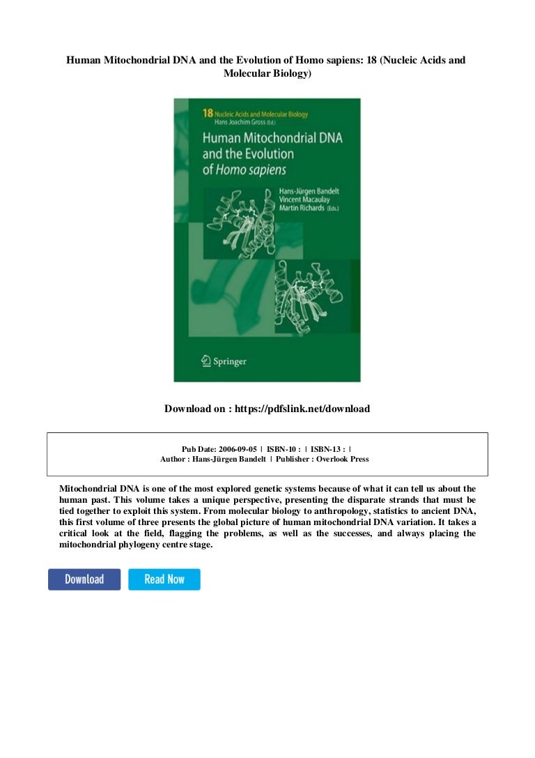 Human Mitochondrial DNA and the Evolution of Homo sapiens (Nucleic Acids and Molecular Biology, 18)